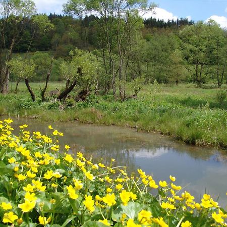 Heigenbruecken Flair Hotel Hochspessart מראה חיצוני תמונה